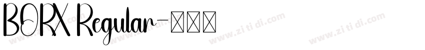 BORX Regular字体转换